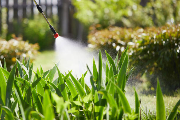24/7 Emergency Rodent Control experts in Glasgow, MT